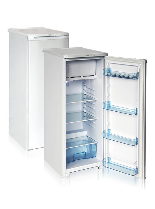 Шкаф холодильный Бирюса-R110CA