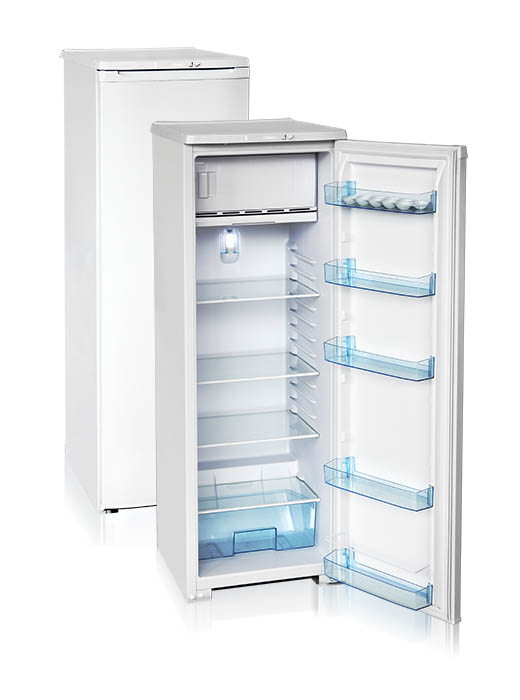 Шкаф холодильный Бирюса-R106CA